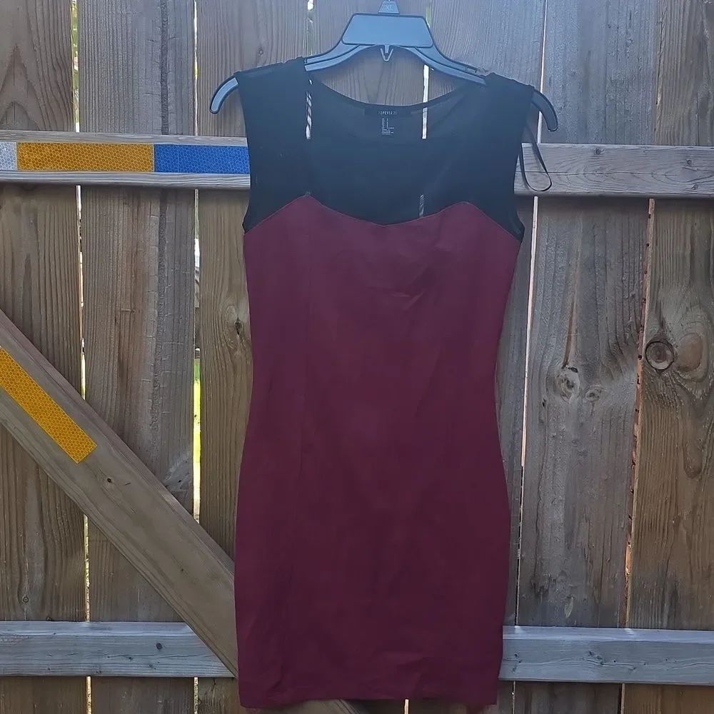 Forever 21 Black and Burgundy Mini Dress